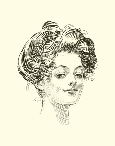 Kuvitus Social Ladderille tekijältä Charles Dana Gibson