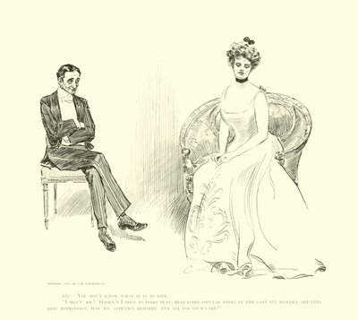 Kuvitus Social Ladderille tekijältä Charles Dana Gibson