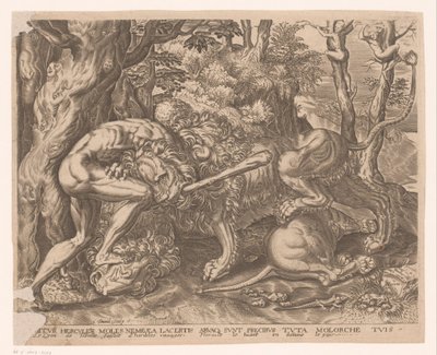 Hercules pitää Nemean leijonaa kuristusotteessa Herculesin työt Frans Florisin jälkeen (sarjan nimi) tekijältä Charles David