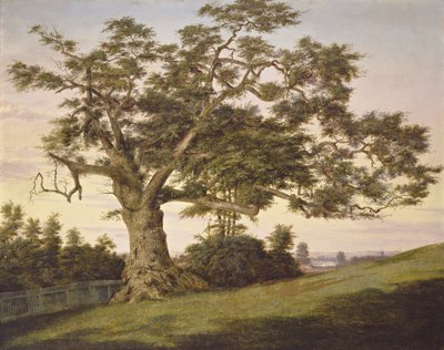 Charter Oak tekijältä Charles de Wolf Brownell