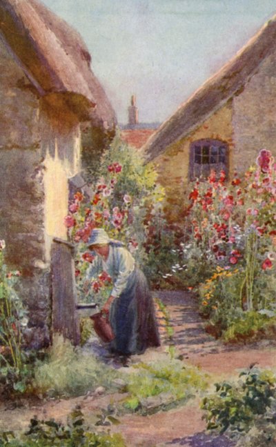 Hollyhocks in a Cottage Garden (väri litho) tekijältä Charles Edwin Flower