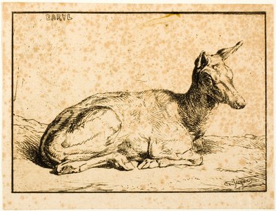 A Doe tekijältä Charles Emile Jacque