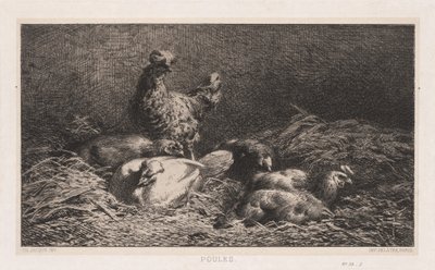 Chickens Poutes, 1867. tekijältä Charles Emile Jacque