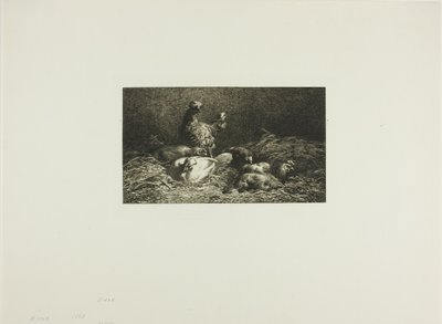 Kanat pesässään tekijältä Charles Emile Jacque