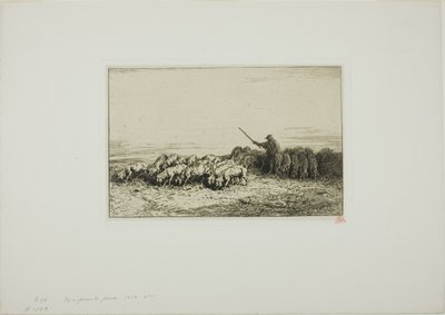 Sikalauma tekijältä Charles Emile Jacque