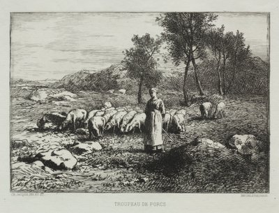Sikalauma tekijältä Charles Emile Jacque
