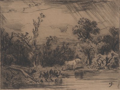 Maisema ja ukkosmyrsky, 1848. tekijältä Charles Emile Jacque