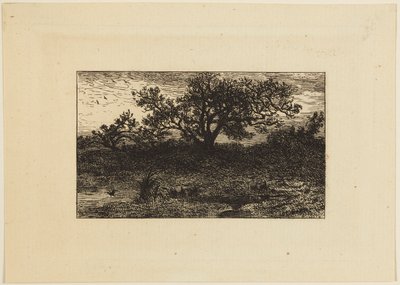 Tulosta tekijältä Charles Emile Jacque