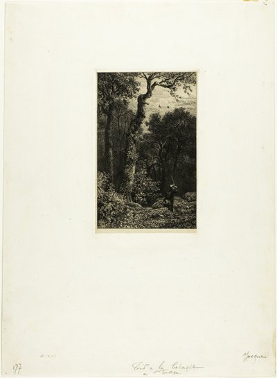 Woodcockin ammunta tekijältä Charles Emile Jacque