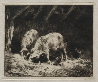 Kaksi sikaa tekijältä Charles Emile Jacque