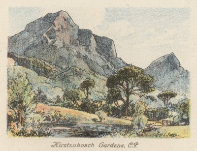 Etelä-Afrikka: Kirstenbosch Gardens, CP (värilitro). tekijältä Charles Ernest Peers