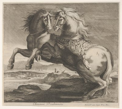 Chevaux Poulonnous. tekijältä Charles Errard le fils
