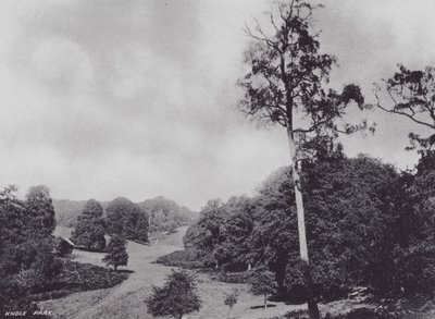 Knole Park (s/w-kuva) tekijältä Charles Essenhigh Corke