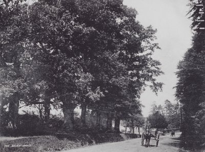 The Seven Oaks (m/w kuva) tekijältä Charles Essenhigh Corke