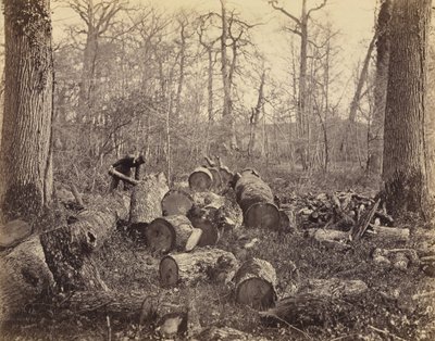 Forêt de Fontainebleau tekijältä Charles Famin