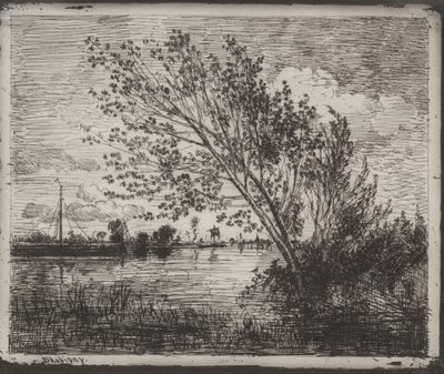 Leppärypäle, alkuperäinen jäljennös 1862, painettu 1921. tekijältä Charles Francois Daubigny