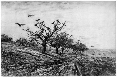Varispuu, 1840-1875, 1924 tekijältä Charles Francois Daubigny