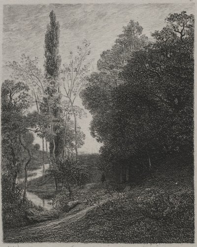 Cousin-joen rannat tekijältä Charles Francois Daubigny