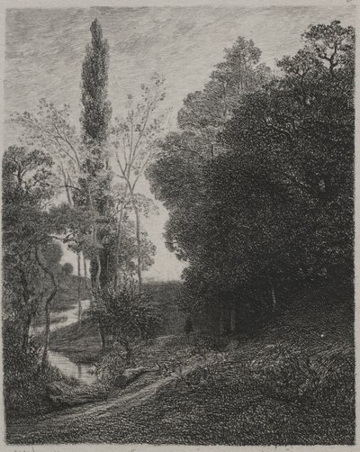 Cousin-joen rannat, 1850. tekijältä Charles Francois Daubigny