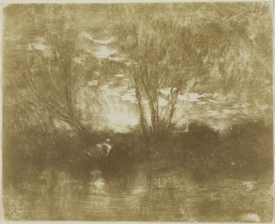 Lehmät juomapaikalla tekijältä Charles Francois Daubigny