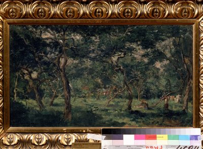 Charles Francois Daubignyn (1817-1878) maalaus "Oliivilehto" (Olive Orchard) 1870-1873 Pushkin-museo, Moskova tekijältä Charles Francois Daubigny