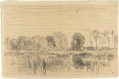 Suo ja puiden suoja tekijältä Charles Francois Daubigny