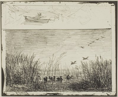 Marsh ankkojen kanssa tekijältä Charles Francois Daubigny
