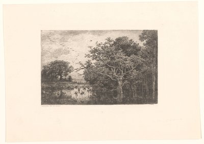 Moeras tapasi ooievaarsin Haikara suo tekijältä Charles Francois Daubigny