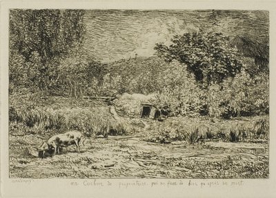 Possu hedelmätarhassa tekijältä Charles Francois Daubigny