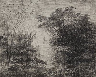 Hirvet, alkuperäinen jäljennös 1862, painettu 1921. tekijältä Charles Francois Daubigny