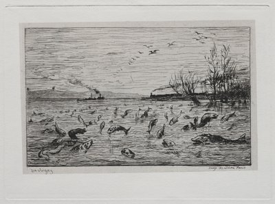 Veneretki: Kalojen iloitseminen mökkipojan (The Fish) lähdön yhteydessä tekijältä Charles Francois Daubigny