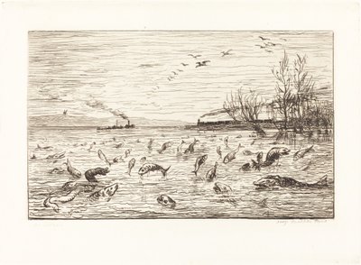 Kalat iloitsevat, kun mökkipoika lähtee (Rejouissances de poissons du depart du mo tekijältä Charles Francois Daubigny