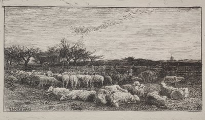 Suuri lammastarha tekijältä Charles Francois Daubigny