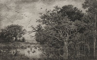 Suo haikaroiden kanssa tekijältä Charles Francois Daubigny
