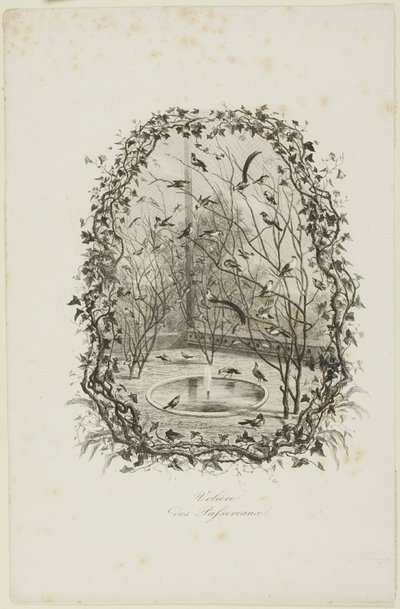 Sparrow Aviary tekijältä Charles Francois Daubigny