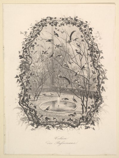 Sparrow Aviary, 1843. tekijältä Charles Francois Daubigny
