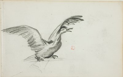 Wild Duet (etusivu); kaksi seisovaa alastonta naishahmoa syvennyksissä (kääntöpuoli). tekijältä Charles Francois Daubigny