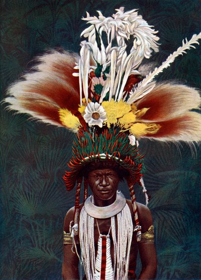 Roro-päällikkö, joka oli pukeutunut seremonialliseen tanssiin, Papua-Uusi-Guinea, 1920. tekijältä Charles Gabriel Seligman