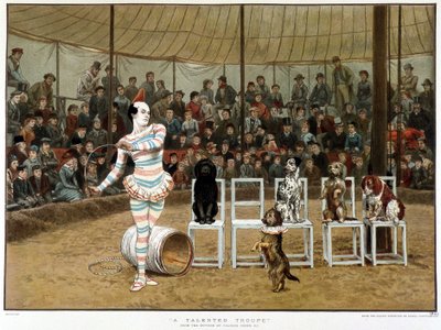 Oppitut koirat: sirkuskohtaus klovnin ja koirien kanssa - Charles Greenin mukaan, Englanti kromo 1885. ¿Oppineet koirat: sirkuskohtaus klovnin ja koirien kanssa - Charles Greenin mukaan, englantilainen kromo 1885. ¿ tekijältä Charles Green