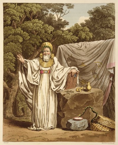 Kaaridruidi oikeuskäytännössään, kaiverrus Robert Havell (1769-1832) 1815 (akvatinta) tekijältä Charles Hamilton Smith