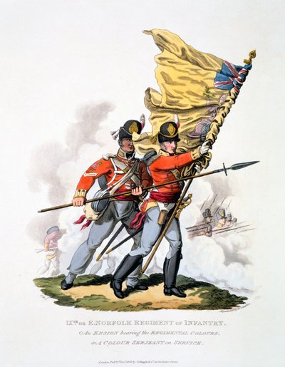 Uniform und Colors of the 9th tai East Norfolk rykment of Infantry, julkaisusta "British Imperiumin puku, viimeisten määräysten mukaan", julkaistu 1813 (käsinvärinen akvatinta) tekijältä Charles Hamilton Smith