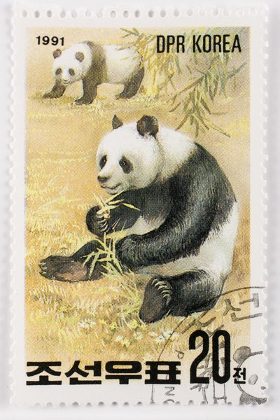 Postimerkki/Pohjois-Korea/Ailuropoda melanoleuca/Grand Panda/Giant Panda tekijältä Augustus Kollner