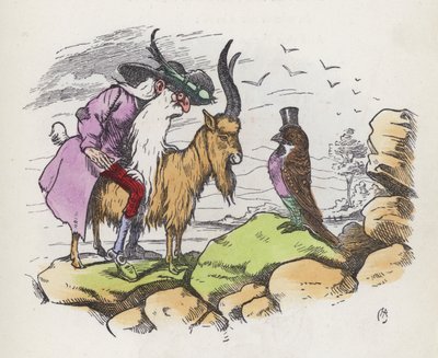 Äärimmäisin lintu (värillinen kaiverrus) tekijältä Charles Henry (after) Bennett
