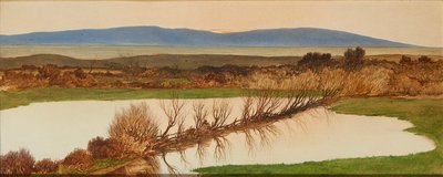 Auringonlasku lammen yllä (öljyä aluksella) tekijältä Charles Hutton Lear