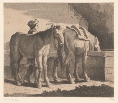Juovat hevoset Masete de Normandie (otsikko esineessä) Eläinsarja (sarjan nimi) tekijältä Charles II Errard (attributed to)