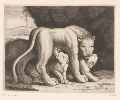 imettävä leijona Eläinsarja (sarjan nimi) tekijältä Charles II Errard (attributed to)
