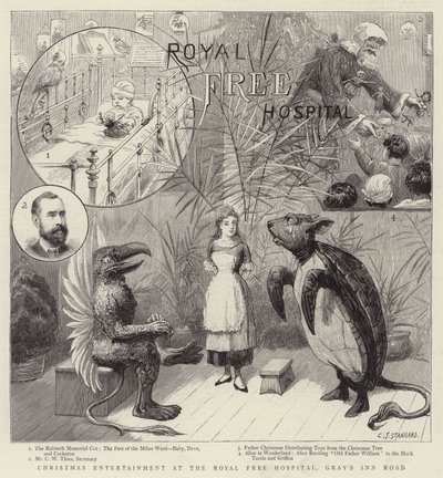 Jouluviihdettä Royal Free Hospitalissa, Gray