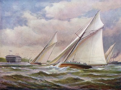 Valkoiset siivet tekijältä Charles John de Lacy