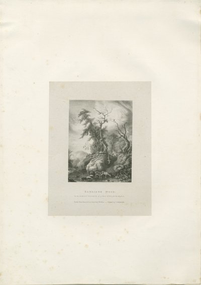 Himley Estate - "Bagridge Wood": litografia, nd [1789-1850] (painos) tekijältä Charles Joseph Hullmandel