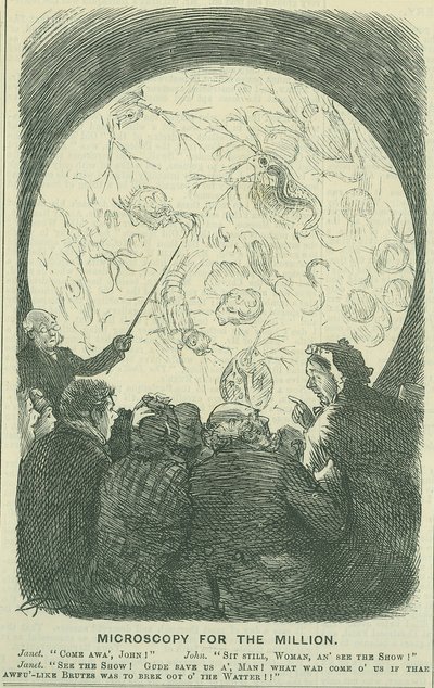 Mikroskooppi miljoonille: 1878 (kaiverrus) tekijältä Charles Keene
